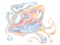 Image 1 of Octopus Insect