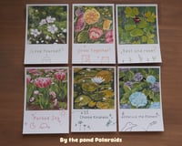 Image 4 of By The Pond Collection - Polaroids