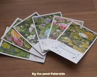 Image 1 of By The Pond Collection - Polaroids