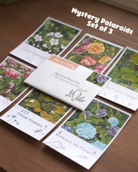 Image 2 of By The Pond Collection - Polaroids