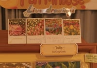 Image 2 of Tulip Collection - Polaroids
