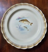 Image 10 of Royal Worcester Cabinet Plate by Harry Davis