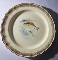 Image 2 of Royal Worcester Cabinet Plate by Harry Davis