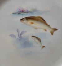 Image 4 of Royal Worcester Cabinet Plate by Harry Davis