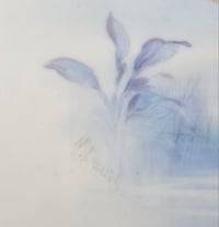 Image 5 of Royal Worcester Cabinet Plate by Harry Davis