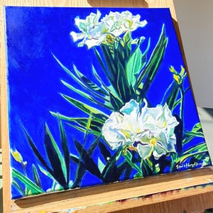 Image of Nerium Oleander 