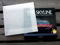 Image 7 of THE SKYLINE 25th Anniversary Album