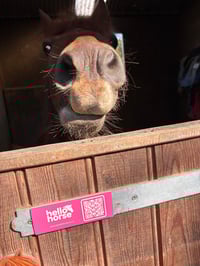 Image 2 of Pink Hello Horse Stable Plate – Includes Lifetime Subscription