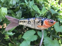 Image 2 of SPEEDBAITS Custom Airbrushed Swimbait 8101