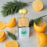 Medley Car Diffusers - FREE SHIPPING