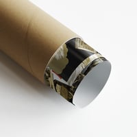 Image 3 of Myles Kennedy ''Snake''