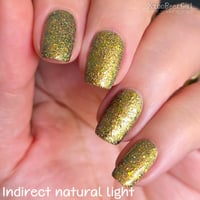 Image 22 of Gilded Glamour