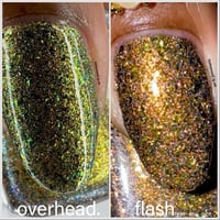 Image 16 of Gilded Glamour