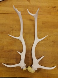 Custom Listing for Mark