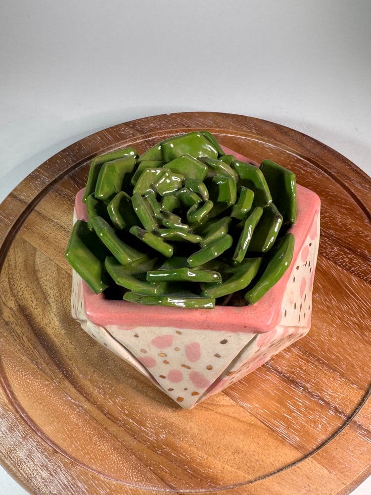 Image of Pink Polkadot Ceramic Succulent Sculpture 