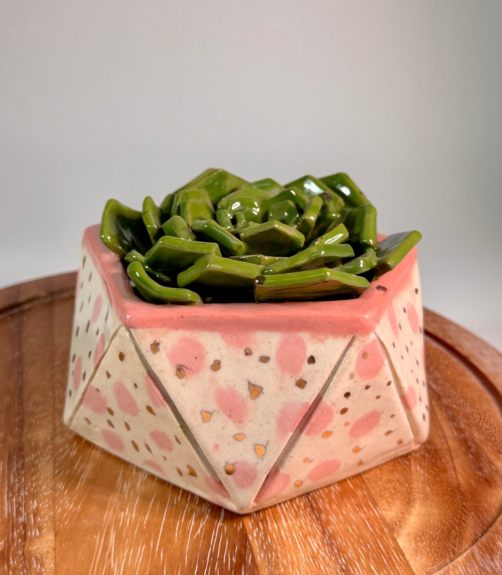 Image of Pink Polkadot Ceramic Succulent Sculpture 