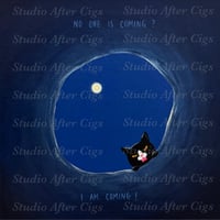 Image 1 of I’ll PAW My Way Through The Dark ‘til I Find You (LP)