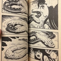 Image 15 of WOMAN WITH A BROKEN FACE by Koji Sugito