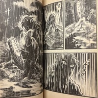 Image 19 of WOMAN WITH A BROKEN FACE by Koji Sugito