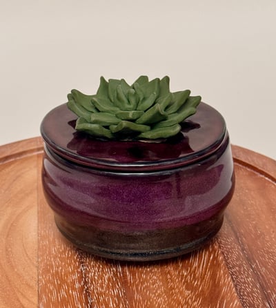 Image of Succulent Jar with Lid