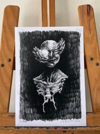 Image 3 of Psilocybe Cubensis PRINT 