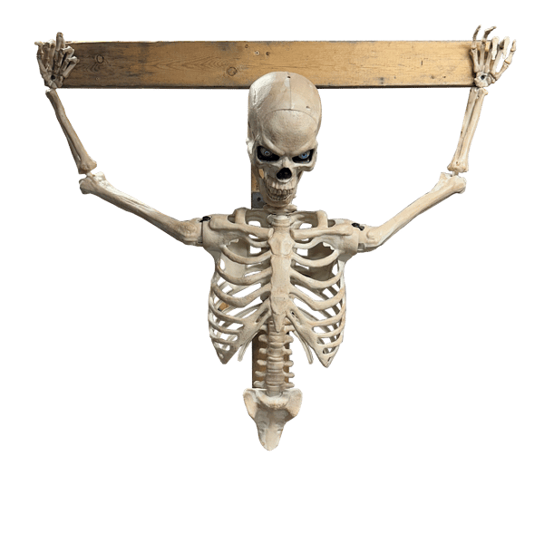 Image of DIY Animated Hanging Skeleton 