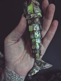 Image 4 of Abalone fish bottle opener 