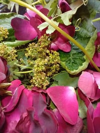 Image 5 of Verdant Rose Face Cream Balm, Natural Organic Skin Care, Natural Rose Body Lotion, Rose Moisturizer