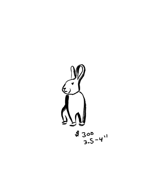 Image of Ink Rabbit