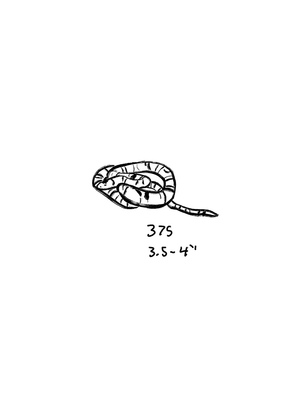 Image of Ink Snake