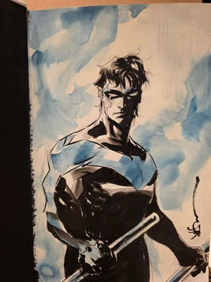 Painted Nightwing inside Batman Omnibus by Paul Dini (FREE SHIPPING)