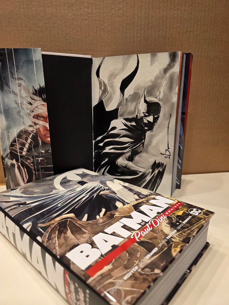 Painted Batman B inside Batman Omnibus by Paul Dini (FREE SHIPPING)