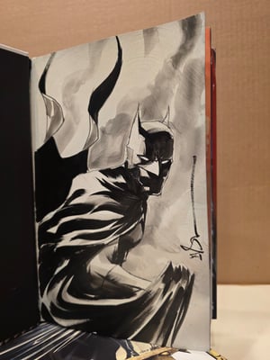 Painted Batman B inside Batman Omnibus by Paul Dini (FREE SHIPPING)