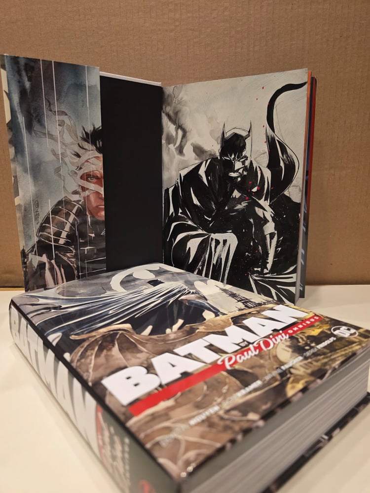 Painted Batman C inside Batman Omnibus by Paul Dini (FREE SHIPPING)