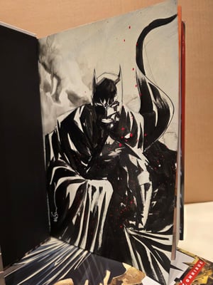 Painted Batman C inside Batman Omnibus by Paul Dini (FREE SHIPPING)