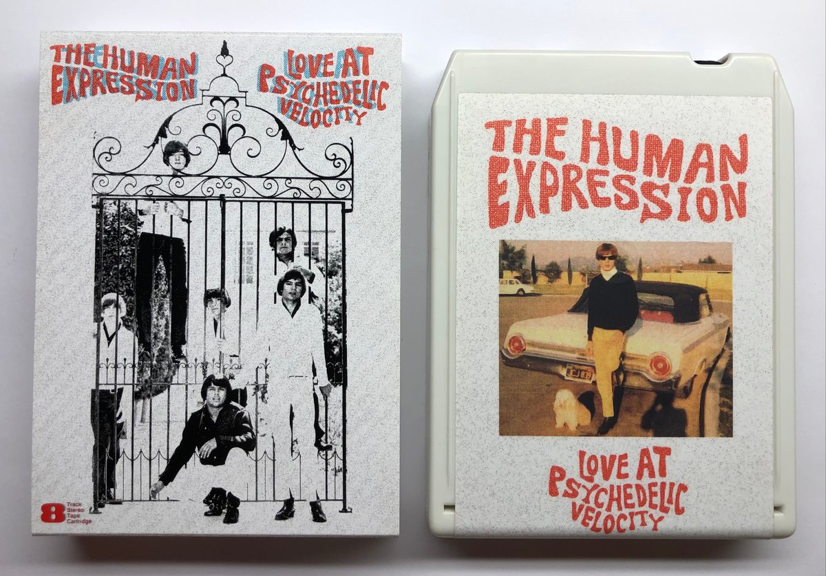 The Human Expression 8 Track | Lynx Rufus Recordings