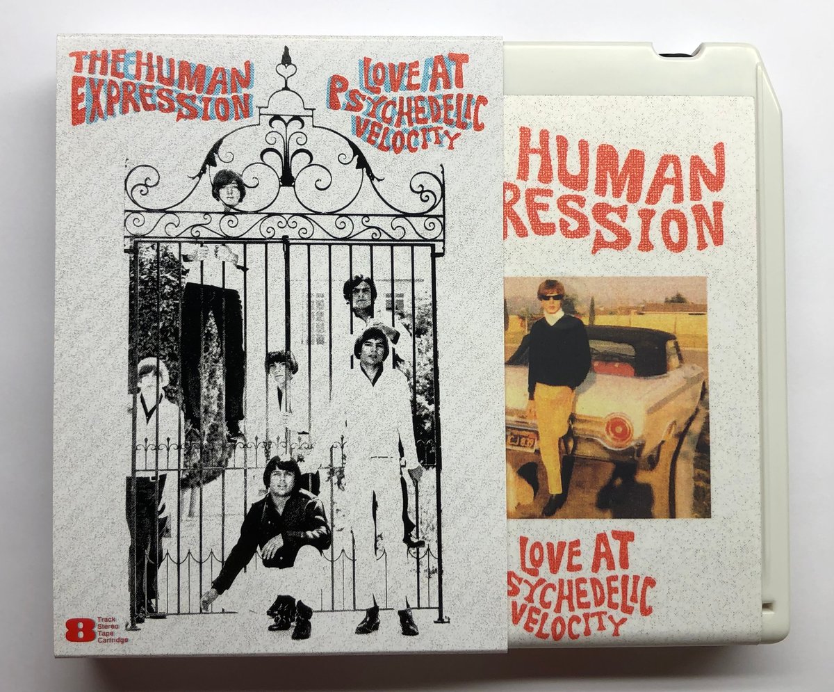 The Human Expression 8 Track | Lynx Rufus Recordings