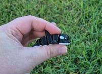 Image 2 of Mini Orca
