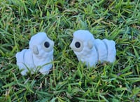 Image 1 of Sheep