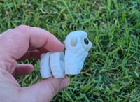 Image 2 of Sheep