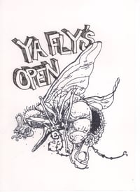 Ya Fly's Open