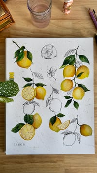 Image 1 of Lemons - Art Print