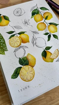Image 3 of Lemons - Art Print