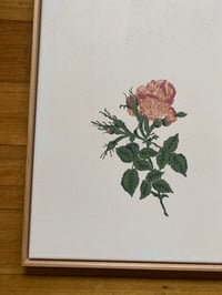 Image 4 of BEST WISHES (2025)