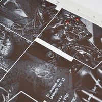 Image 4 of The Terminator / Regular