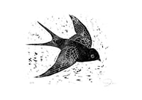 Image 1 of Swallow