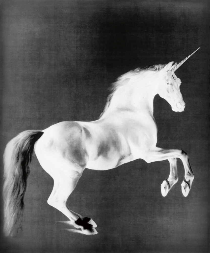 Image of mark wallinger /  ghost / 24-001