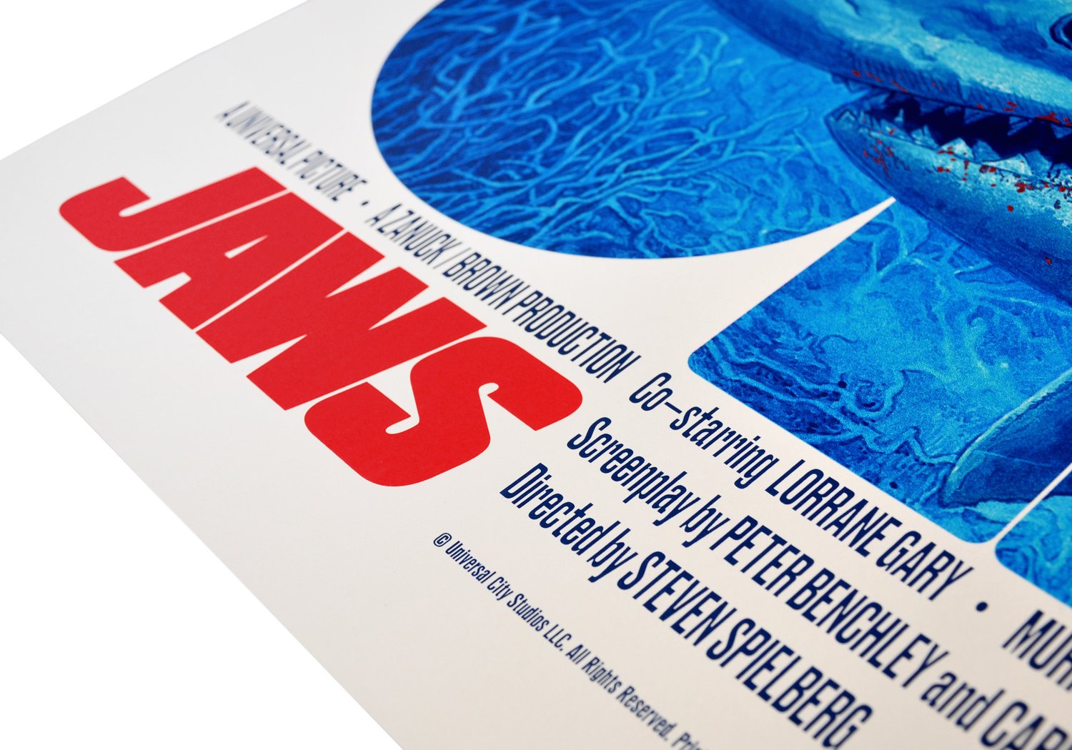 Image of Jaws Regular