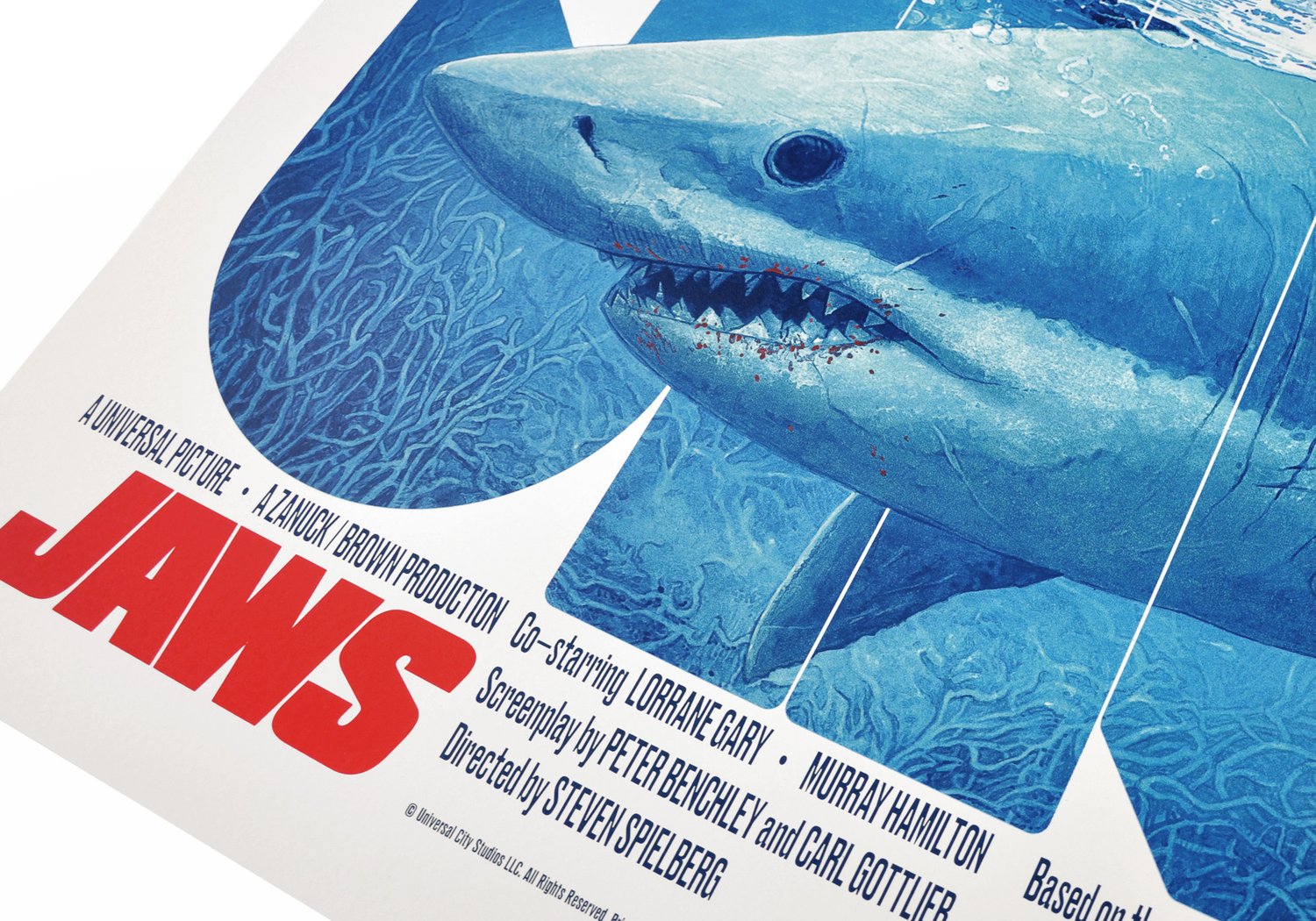 Image of Jaws Regular