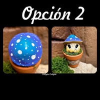 Image 7 of Mini mandrágoras setas